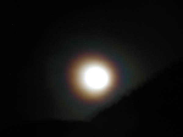 DSCN0001 (16)