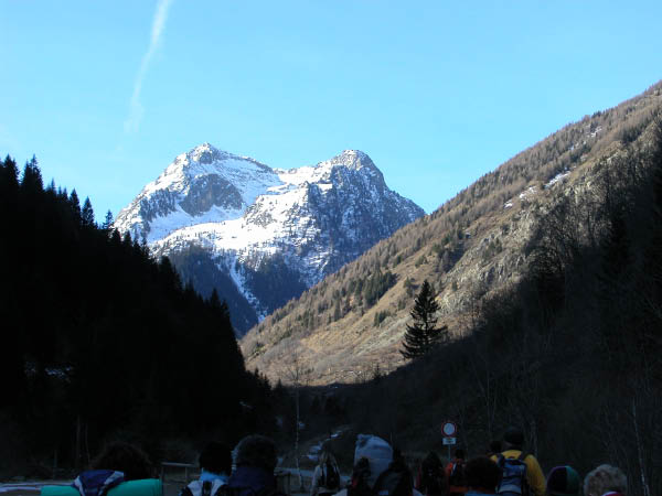 DSCN0032