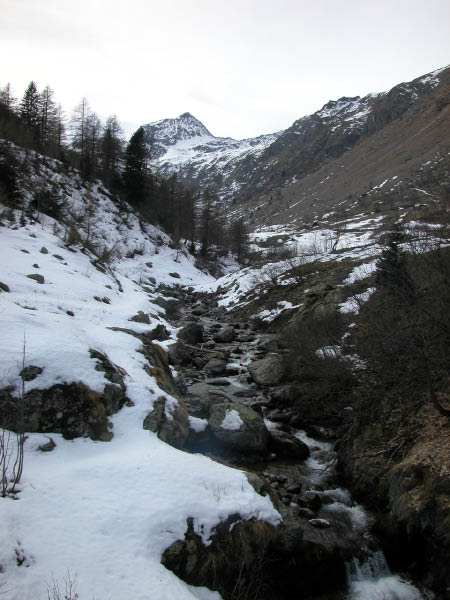 DSCN0051