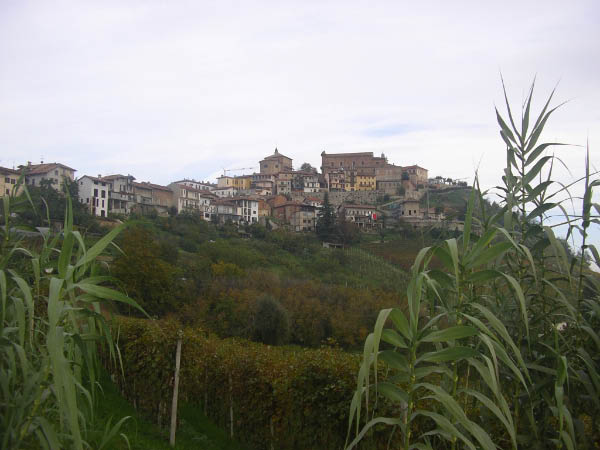 2006 10 29 Sentieri del Barolo 007
