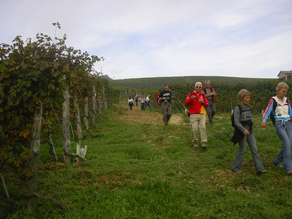 2006 10 29 Sentieri del Barolo 009