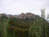 2006 10 29 Sentieri del Barolo 007