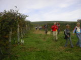 2006 10 29 Sentieri del Barolo 009