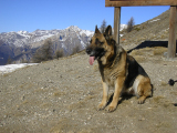 2007 02 04 Costapiana e Moncrons 025