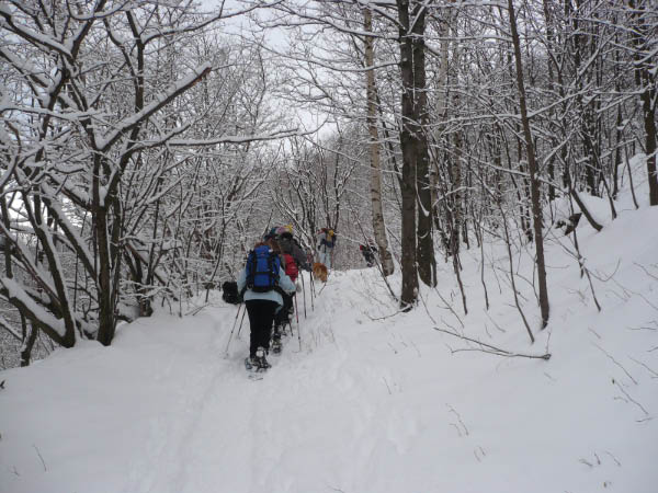 P1020507