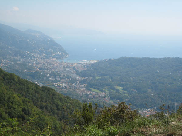 IMG_0050