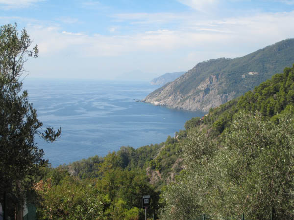 IMG_0110