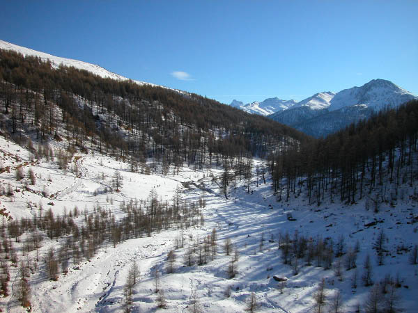 DSCN0017