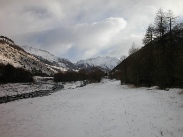 DSCN0052