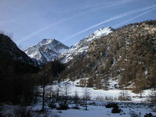 DSCN0061