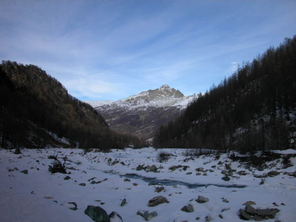 DSCN0081