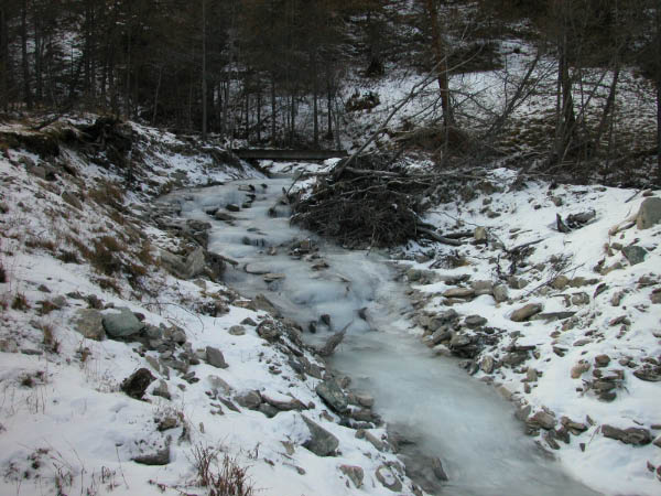 DSCN0082