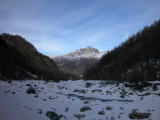 DSCN0081