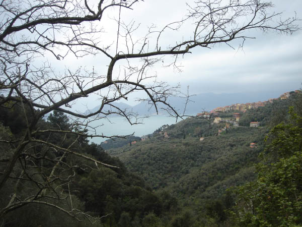 DSC07111