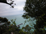 DSCN2698