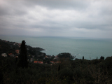 DSCN2700
