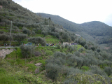 DSCN2701