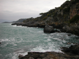 DSCN2736