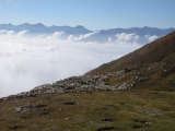 DSCN0158