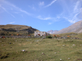 DSCN0170