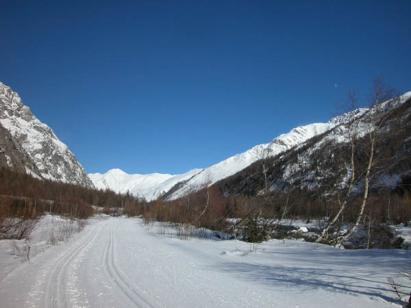 DSCN0012
