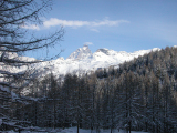 DSCN0004
