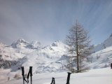 DSCN0013
