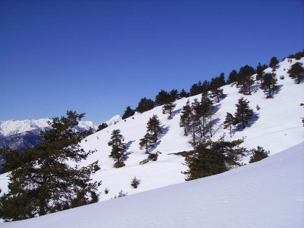 IMGP0694