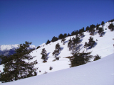 IMGP0694