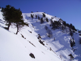 IMGP0695