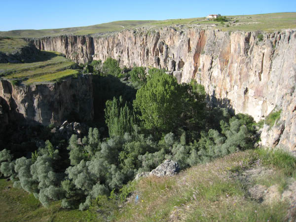IMG_3260 - Copia (2)