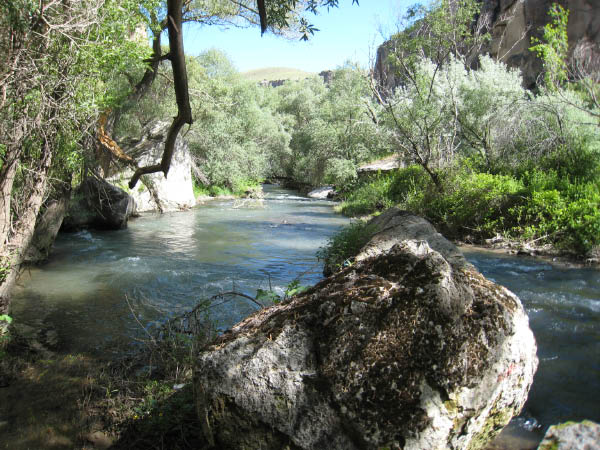 IMG_3268 - Copia (2)