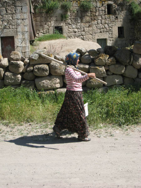 IMG_3326 - Copia (2)