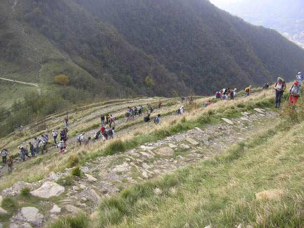 2006 11 12 I forti di Genova 041 14 tornanti