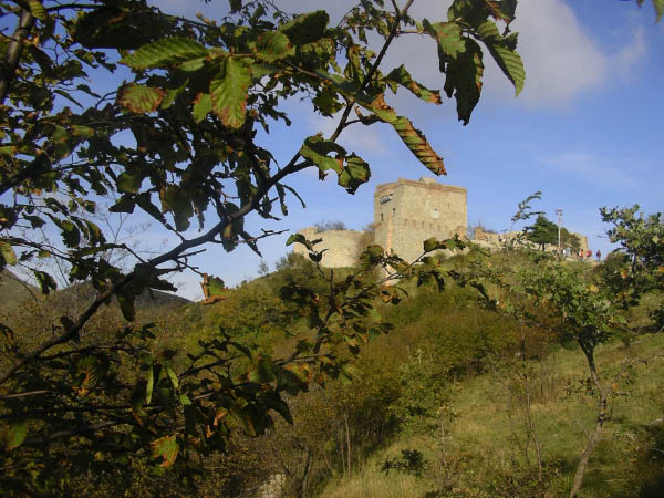 2006 11 12 I forti di Genova 068 Forte Puin