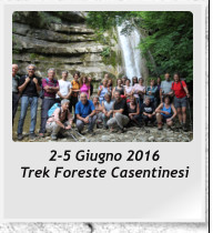 2-5 Giugno 2016 Trek Foreste Casentinesi