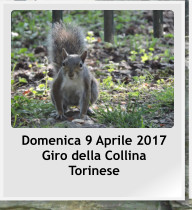 Domenica 9 Aprile 2017 Giro della Collina Torinese