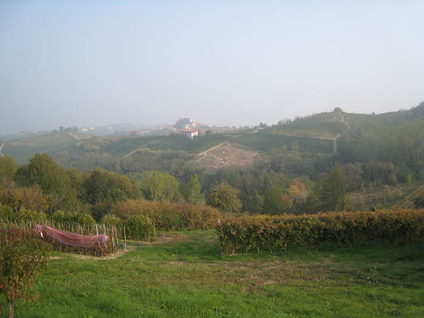IMG_0130