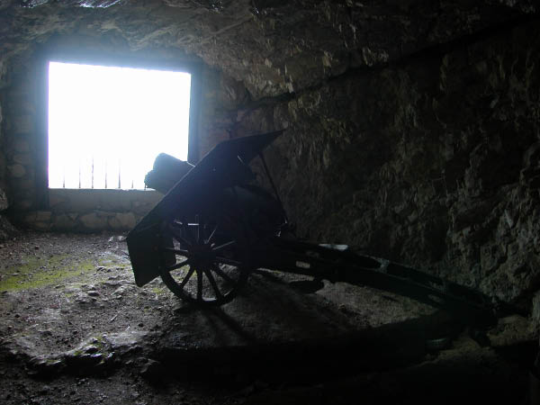 DSCN0181