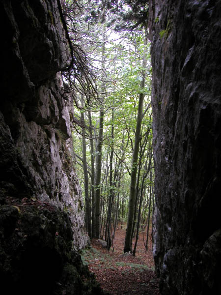 DSCN0184