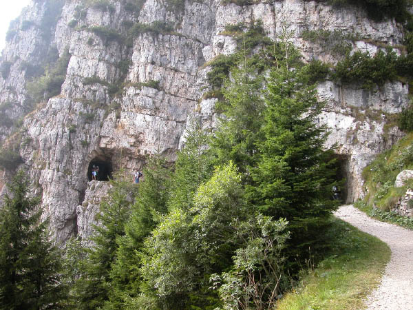 DSCN0186