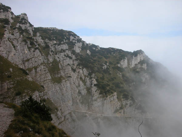 DSCN0202 (02)