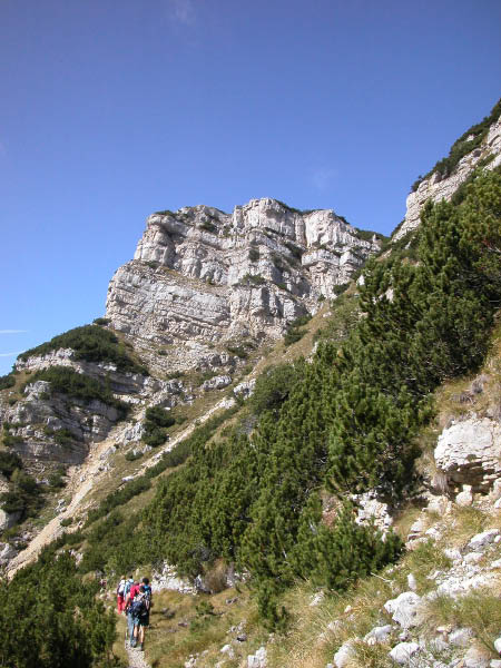DSCN0202 (93)