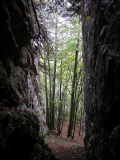 DSCN0184