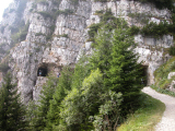 DSCN0186